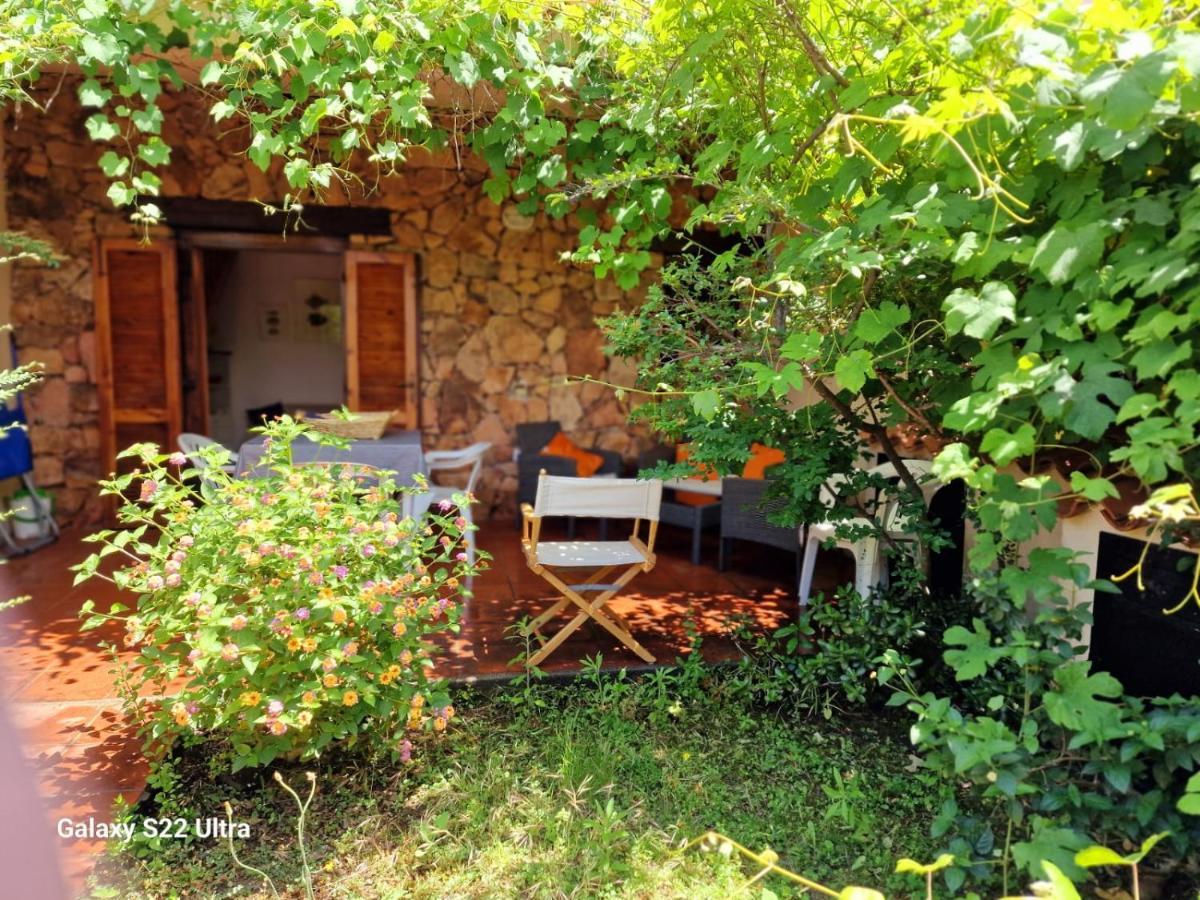 San Teodoro Appartamento Vacanze Centro المظهر الخارجي الصورة